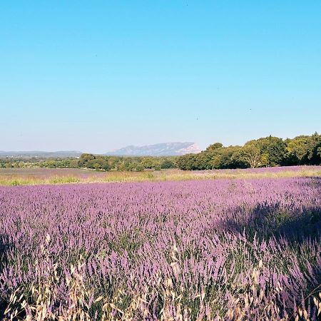Bed and Breakfast Maison Francoise Aix-en-Provence Exteriér fotografie