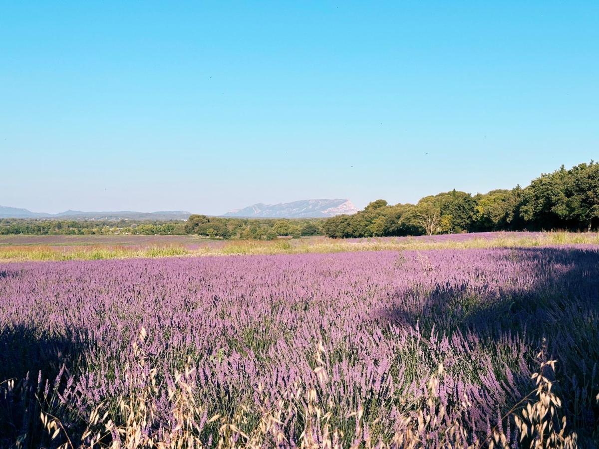 Bed and Breakfast Maison Francoise Aix-en-Provence Exteriér fotografie